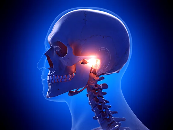 3D rendered xray of a skull with the TMJ highlighted.